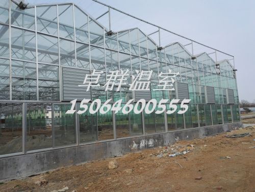 內蒙古包頭市紋絡玻璃溫室。